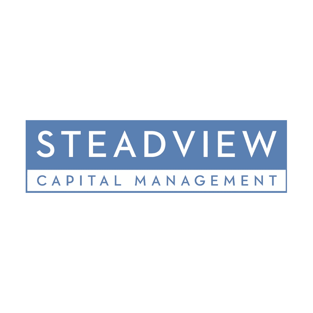 Steadview Foundation logo